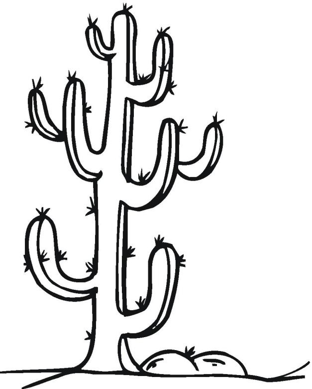 Plansa de colorat cu Cactus 19 11